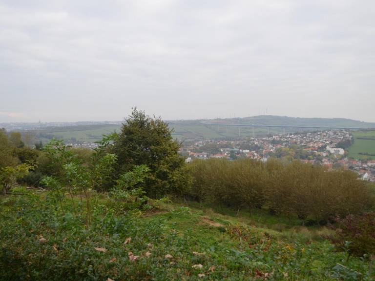 foto2