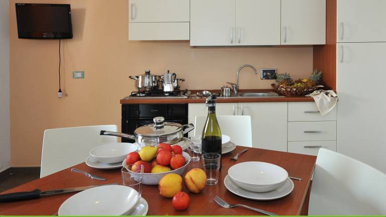 Rental apartment with garden — photo 4