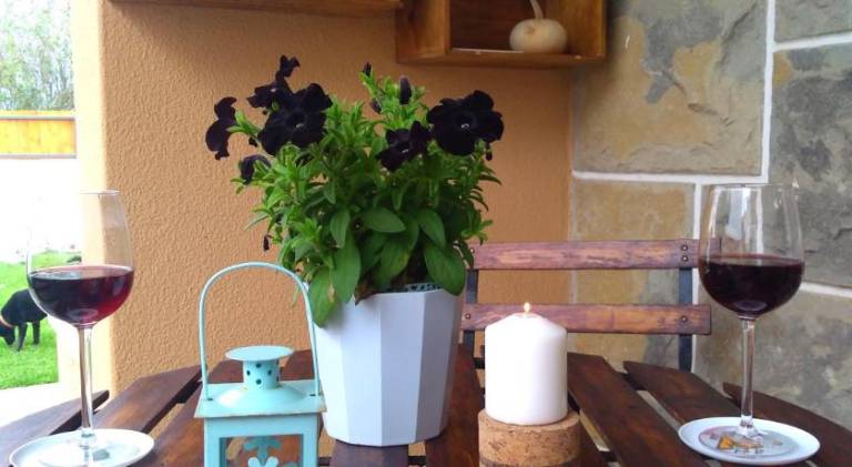 Beach house with garden — photo 4