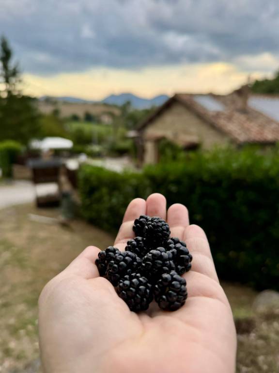Agriturismo Ponte di Riocchio: Camera Menta e Liquirizia — photo 5