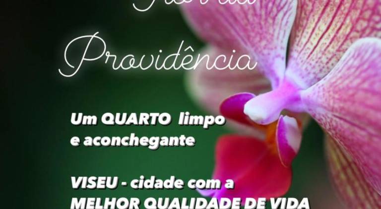 foto23