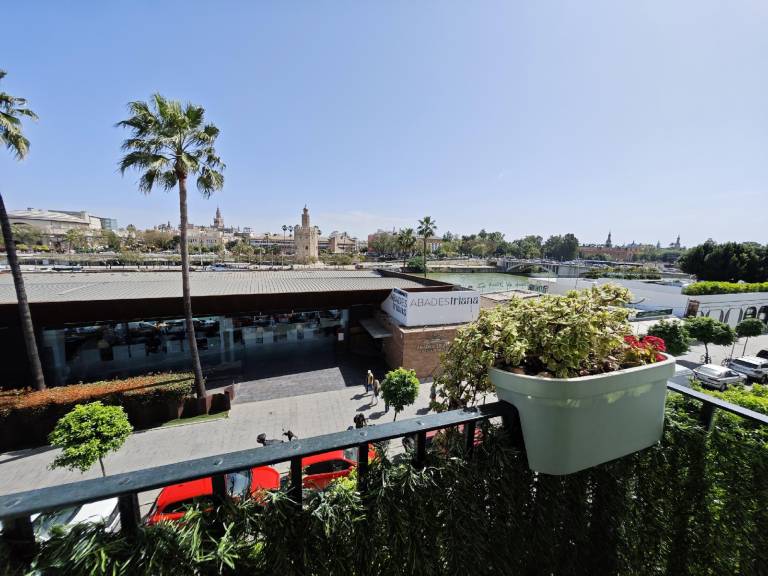 Beautiful vacation home | Close to Seville Cathedral | Pets allowed — photo 3