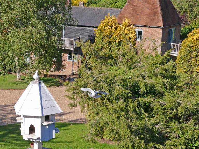 Cottage Sedlescombe