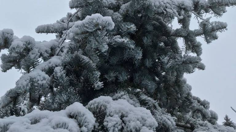 foto6