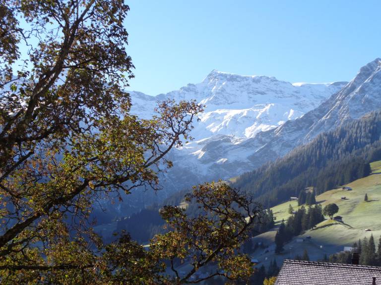 foto23