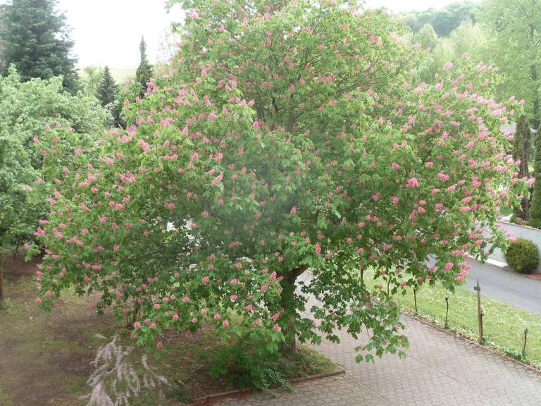 foto28