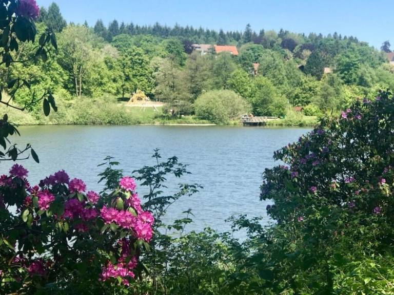Ferienwohnung Goslar