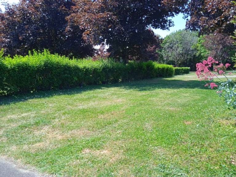 foto21