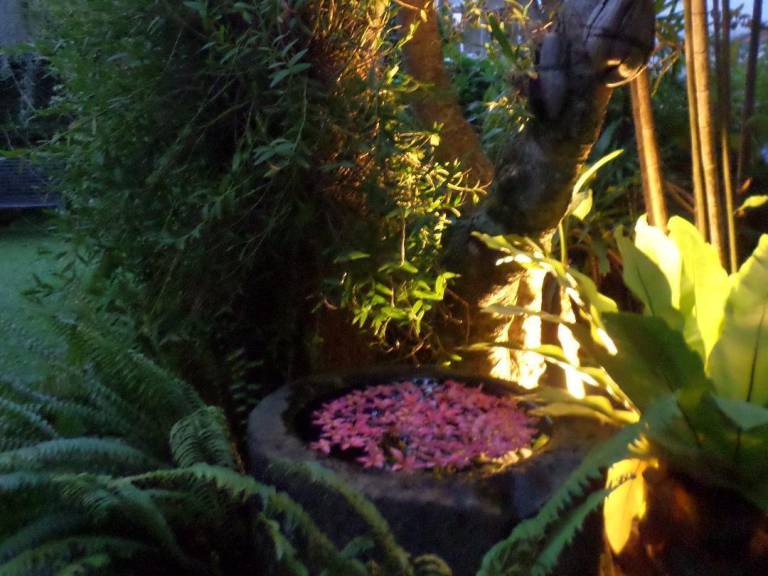 foto46