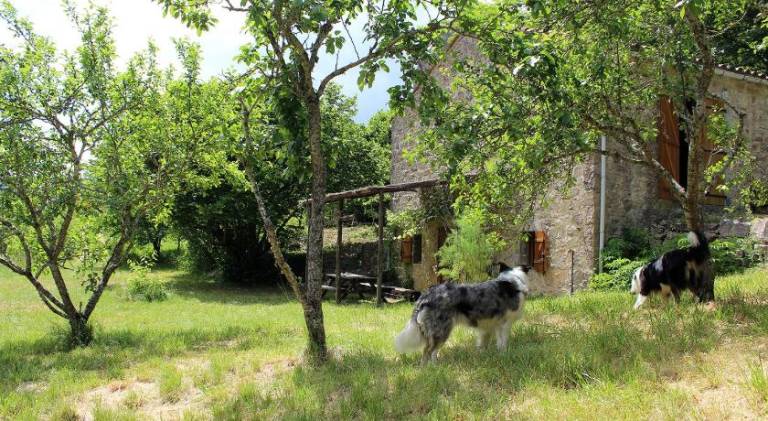 Maison de Vignes de Tournemire — photo 5
