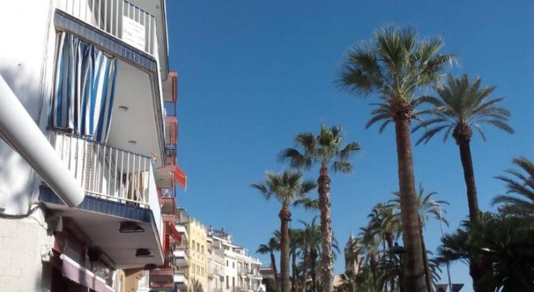 Nice apartment | Close to the beach | Pets are welcome — photo 5