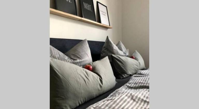 Holiday apartment with 1 room for 4 persons in Quedlinburg