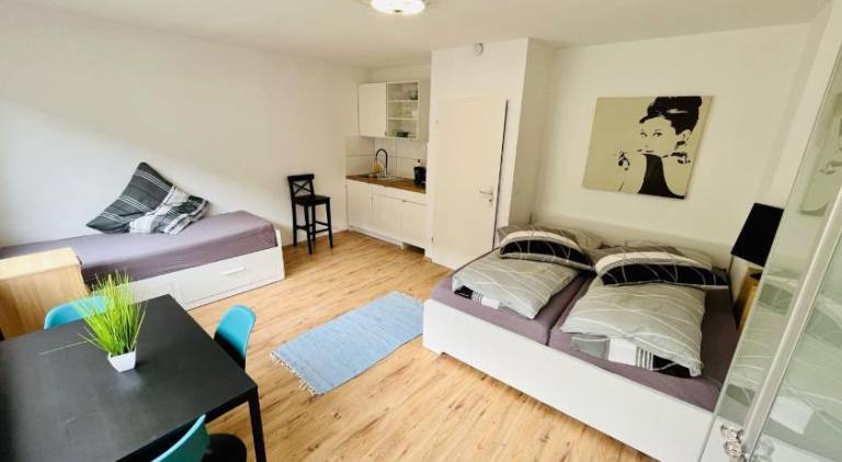 Holiday apartment | Dogs allowed in Krefeld