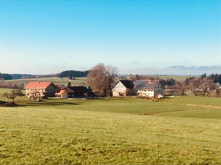 foto1