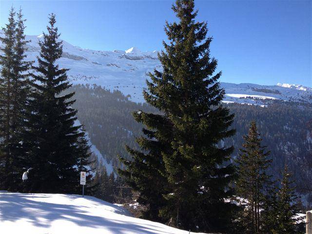 foto12