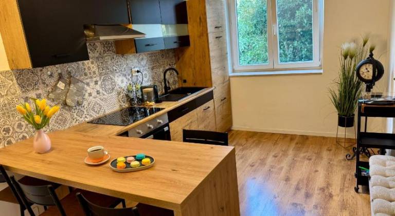 Rental apartment | Pets are welcome — photo 4