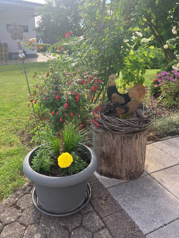 Appartement Fewo Dusche WC neuwertig