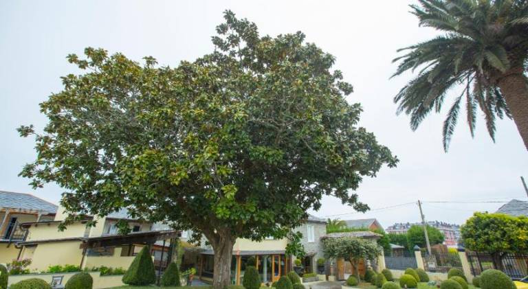 foto30