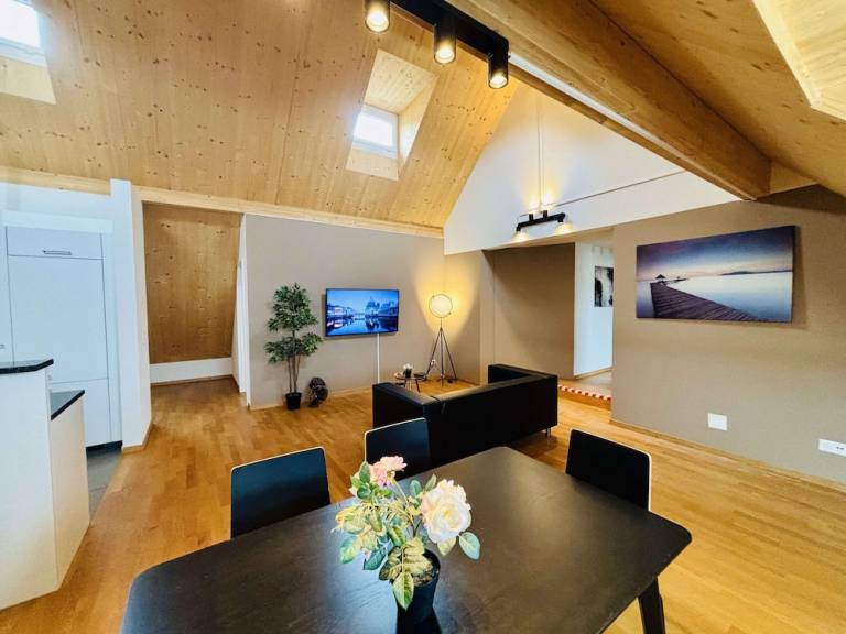 Apartmán Basilej