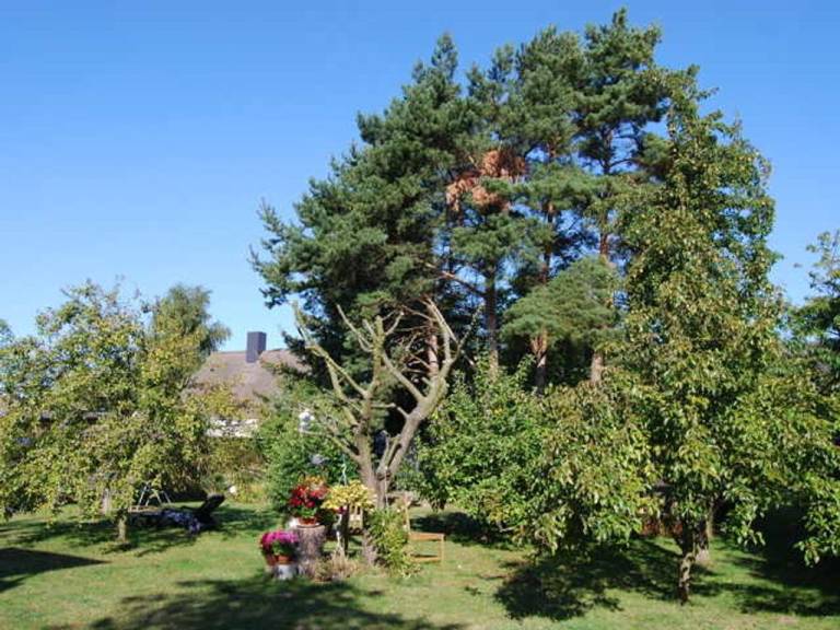 foto8