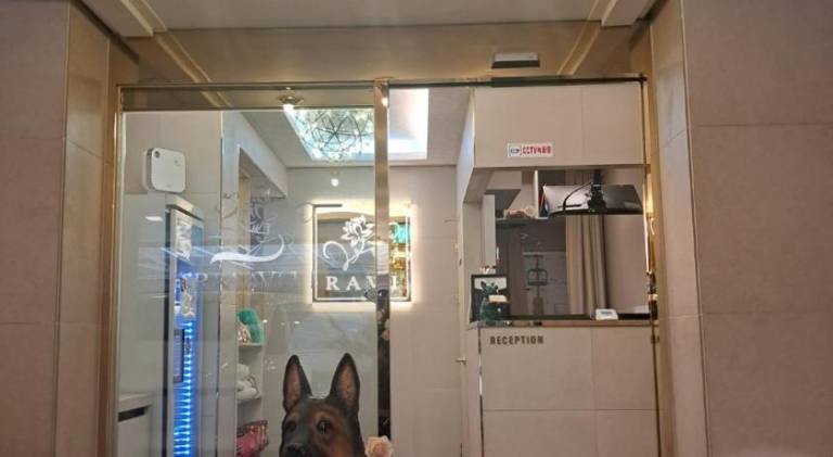 Jamsil Hotel Ravi — photo 4