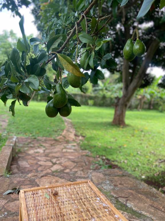 Thielo Homestays — photo 5