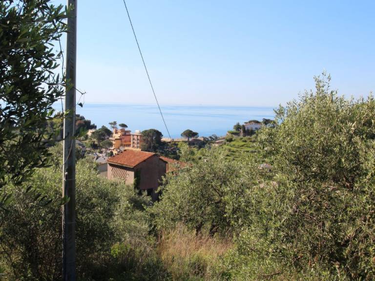 foto12