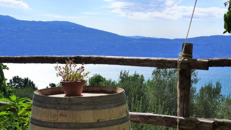 Agriturismo Scuderia Castello: Camera Matrimoniale Garden 1 — photo 5