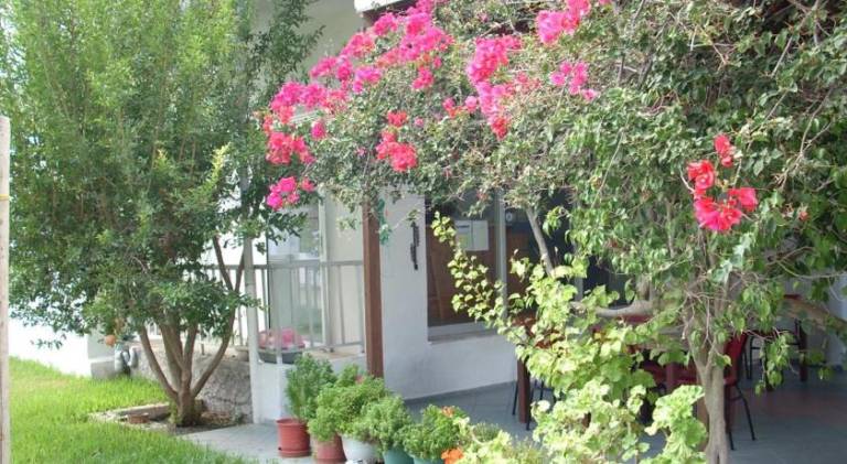 foto14
