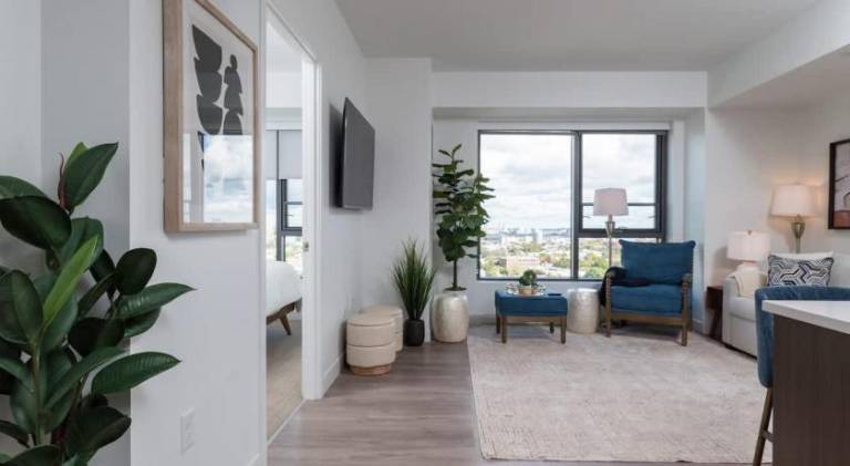 Wonderful apartment | Pet-friendly in Cambridge, MA