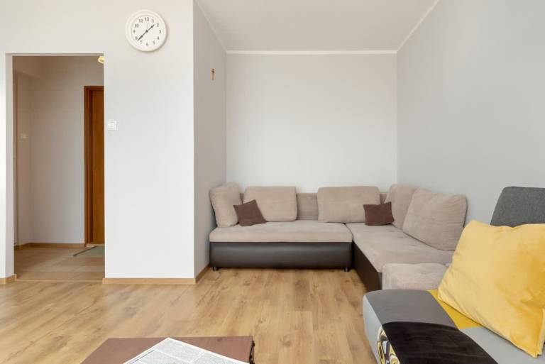 Family-friendly charming studio with fast internet | Dogs allowed — photo 2