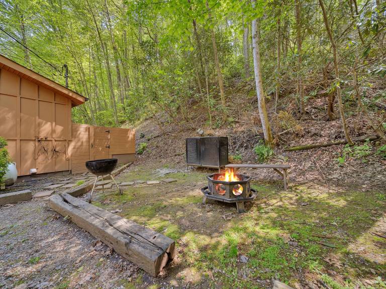 Pet-Friendly Hot Tub Fireplace Game Room — photo 4
