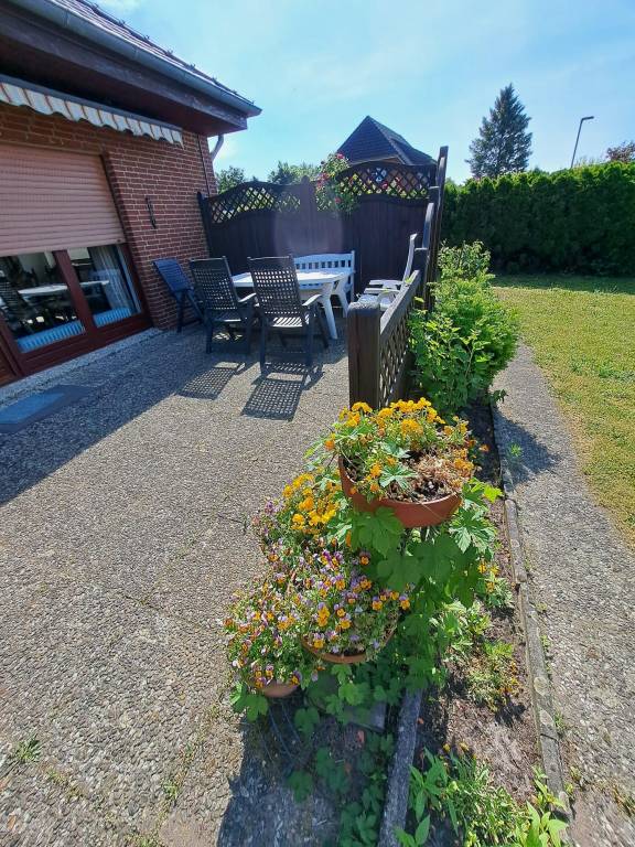 foto4