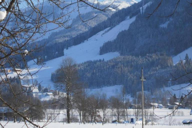 Ferienhaus Mittersill