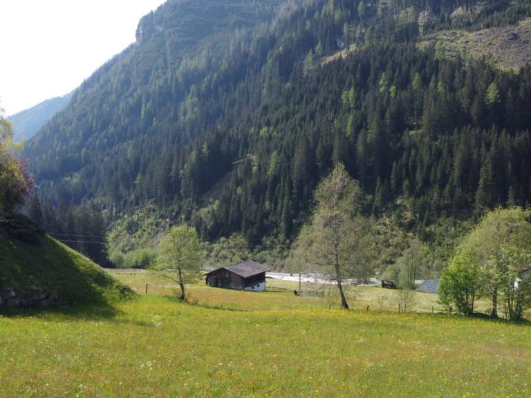 foto12