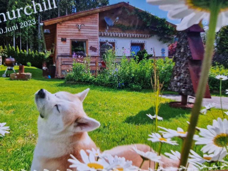 foto16