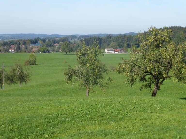 foto17