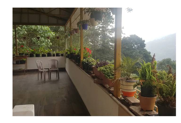 Jhakri Falls Homestay — photo 3