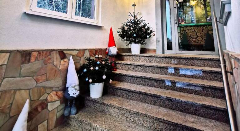 Pension Haus Anna — photo 5