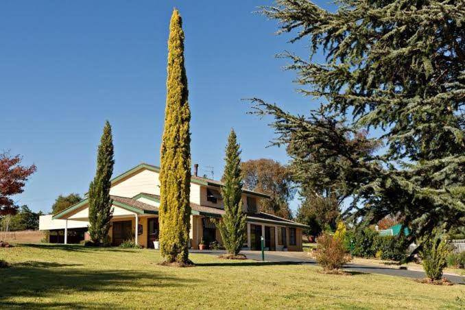 foto6