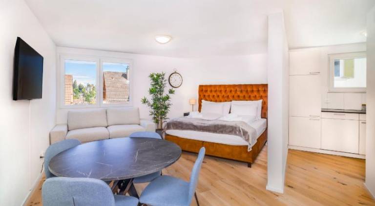 Serviced apartment for 4 persons in St. Gallen