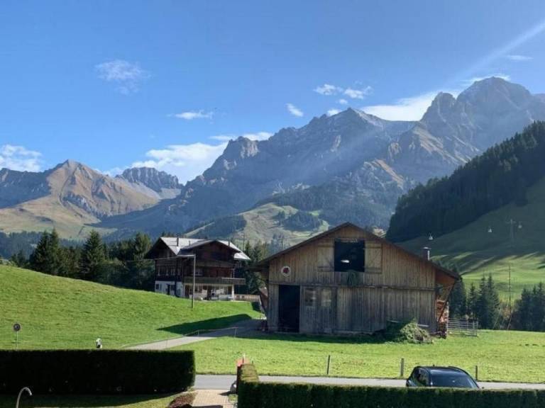 foto11