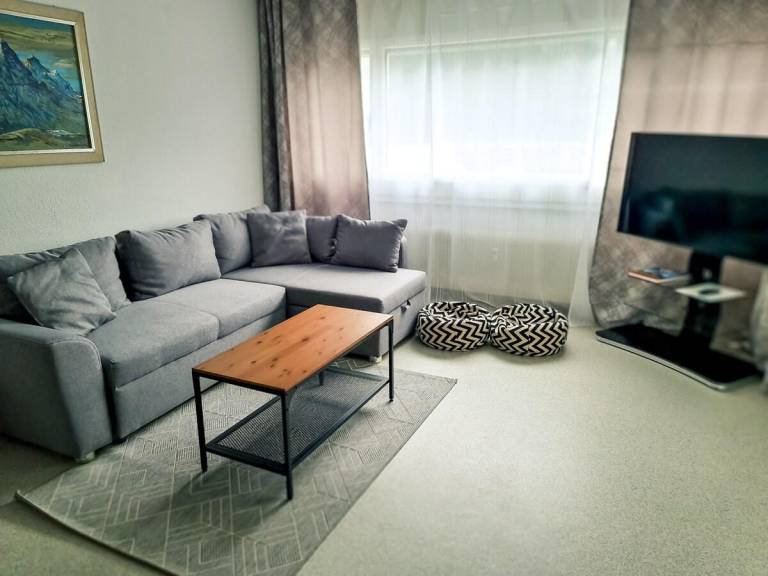 Fully equipped apartment with patio | Ski nearby | Good for workation | Pet-friendly in Grindelwald