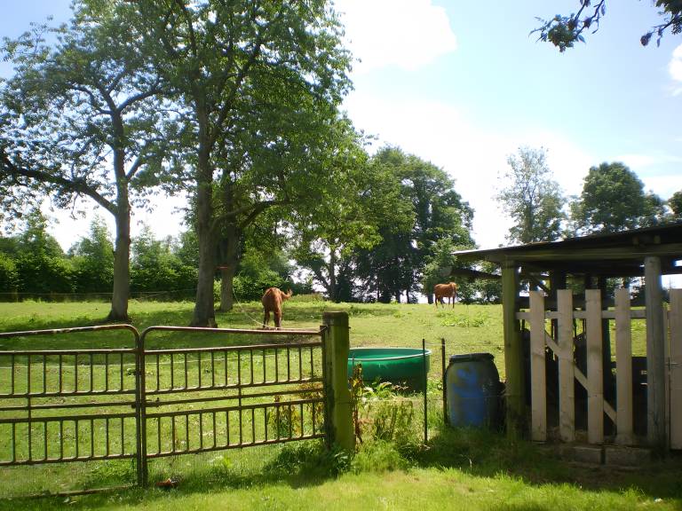 Vacation home with yard | Garden view — photo 5