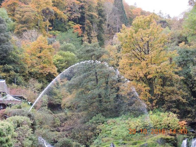 Bed and breakfast Lynton and Lynmouth