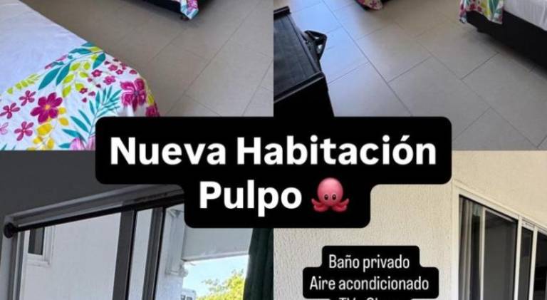 foto46