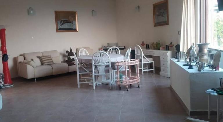 foto8