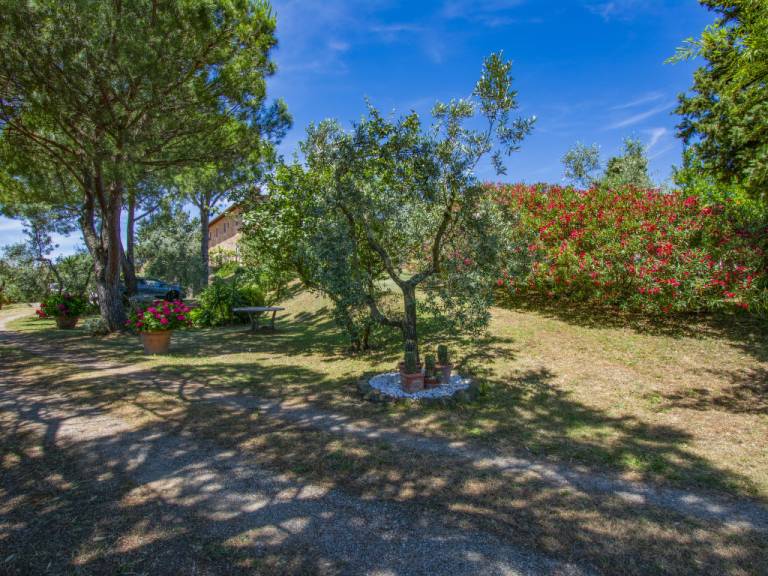 foto42