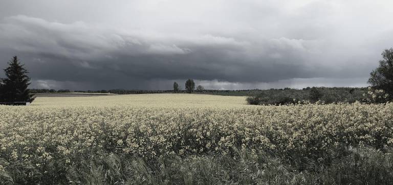 foto21