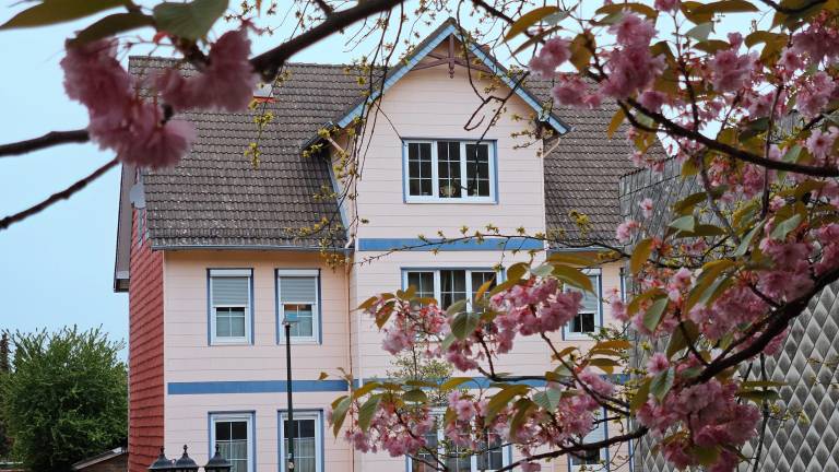 Apartment with sauna, garden & terrace — photo 2